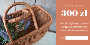 BON PODARUNKOWY 300 zł  